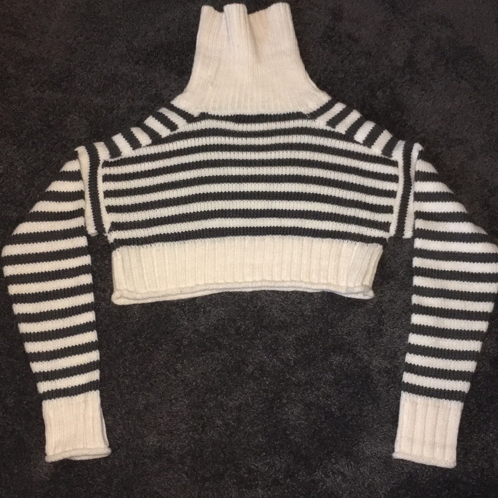 Zara Knit Crop Top Turtleneck Sweater
